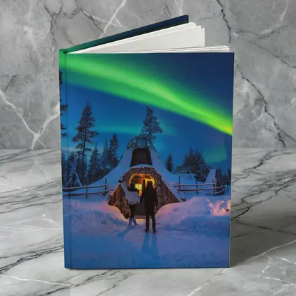 Couple Northern Lights Aurora Winter Forest