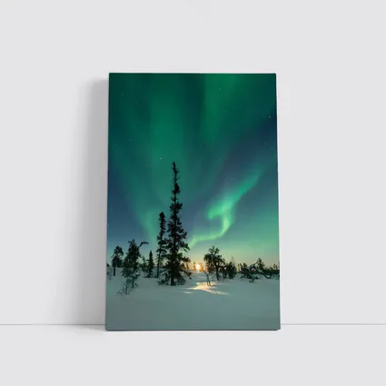 Northern Lights Green Aurora Boreal Winter Forest