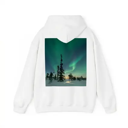 Northern Lights Green Aurora Boreal Winter Forest