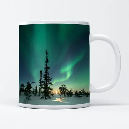 Northern Lights Green Aurora Boreal Winter Forest