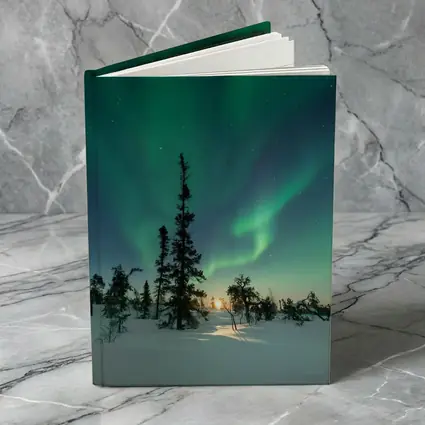 Northern Lights Green Aurora Boreal Winter Forest