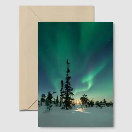 Northern Lights Green Aurora Boreal Winter Forest