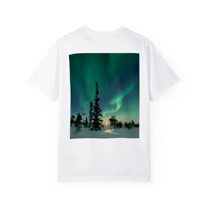 Northern Lights Green Aurora Boreal Winter Forest