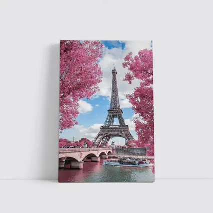 Eiffel Tower Paris Pink Blossoms River View