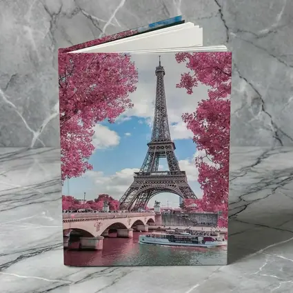 Eiffel Tower Paris Pink Blossoms River View