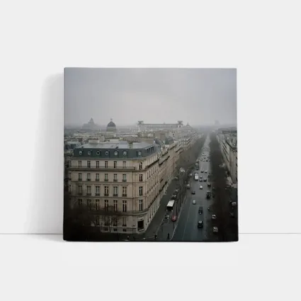 Paris Rooftop View Gray Overcast Boulevard