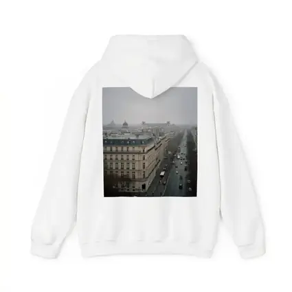 Paris Rooftop View Gray Overcast Boulevard