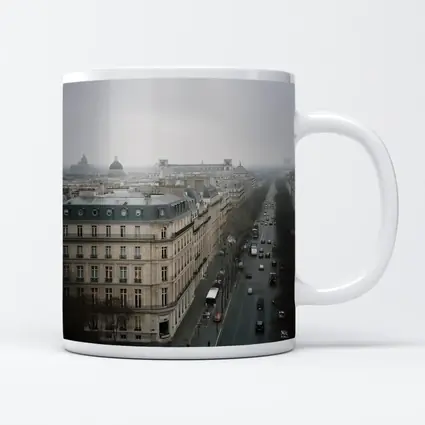 Paris Rooftop View Gray Overcast Boulevard