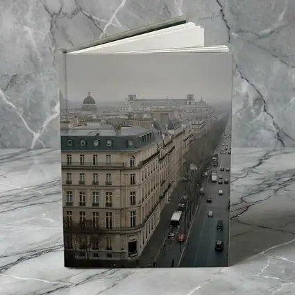 Paris Rooftop View Gray Overcast Boulevard