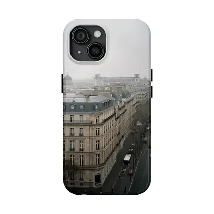 Paris Rooftop View Gray Overcast Boulevard