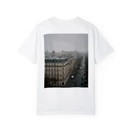 Paris Rooftop View Gray Overcast Boulevard