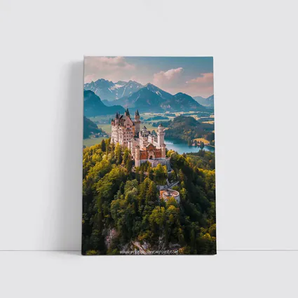 Neuschwanstein Castle Alps Forest Aerial View