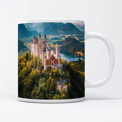 Neuschwanstein Castle Alps Forest Aerial View