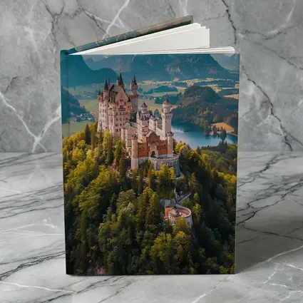 Neuschwanstein Castle Alps Forest Aerial View