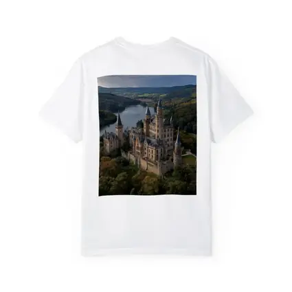 Medieval Castle Aerial View Forest Lake