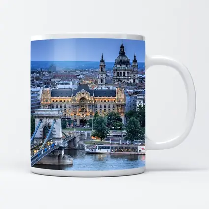 Budapest Chain Bridge Danube River City View