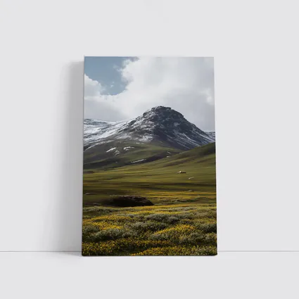 Snow Capped Mountain Green Valley Wildflowers