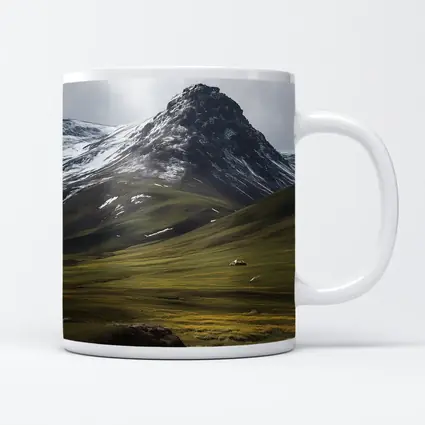 Snow Capped Mountain Green Valley Wildflowers