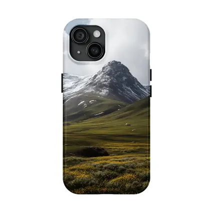 Snow Capped Mountain Green Valley Wildflowers