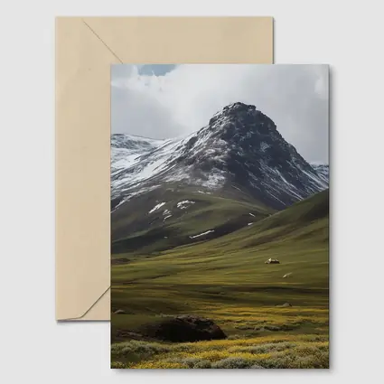 Snow Capped Mountain Green Valley Wildflowers