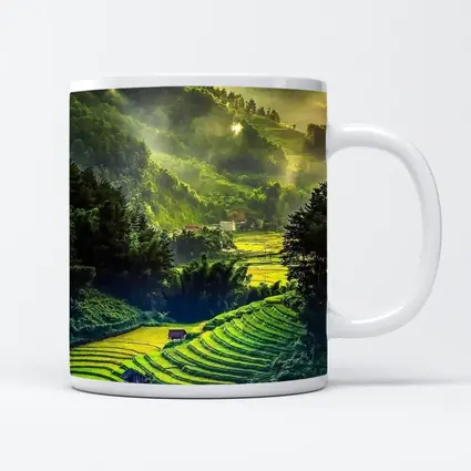 Green Rice Fields Misty Mountain Valley Landscape