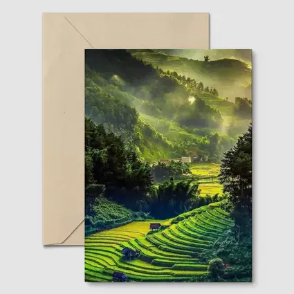 Green Rice Fields Misty Mountain Valley Landscape