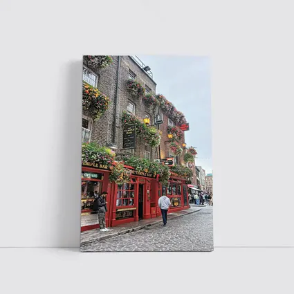 Temple Bar Pub Dublin Street Scene