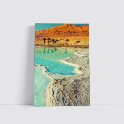 Dead Sea Salt Shores Desert Palms Israel