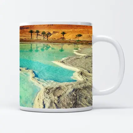 Dead Sea Salt Shores Desert Palms Israel
