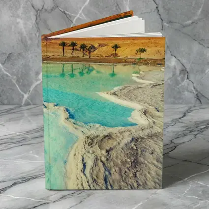 Dead Sea Salt Shores Desert Palms Israel