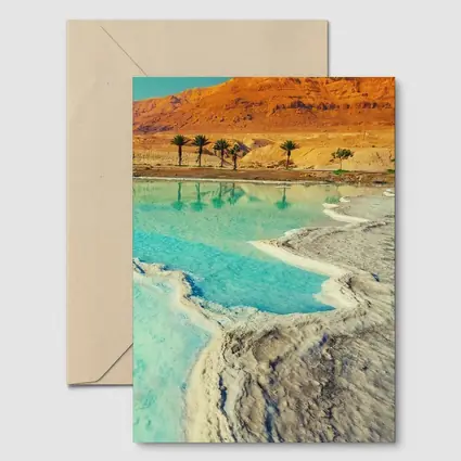 Dead Sea Salt Shores Desert Palms Israel