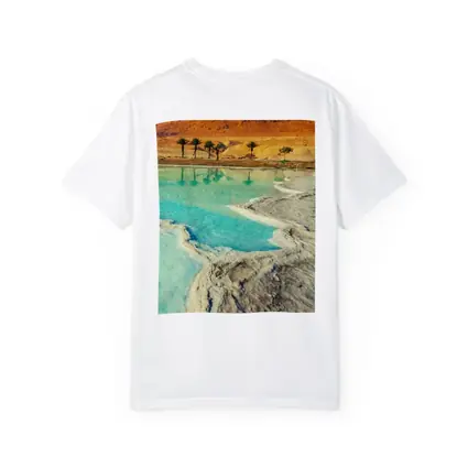 Dead Sea Salt Shores Desert Palms Israel
