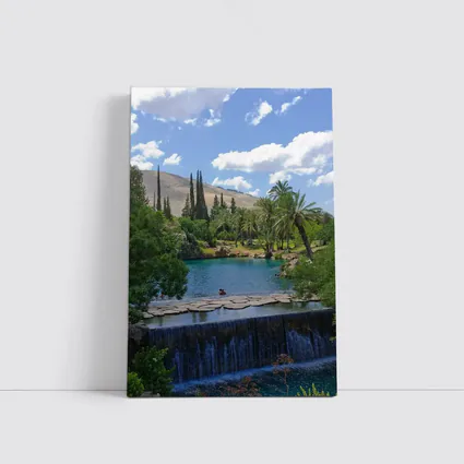 Tropical Pool Waterfall Green Palm Trees