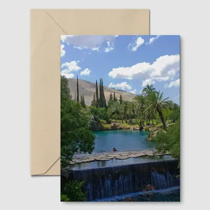 Tropical Pool Waterfall Green Palm Trees