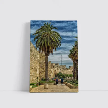 Jerusalem Old City Walls Palm Trees