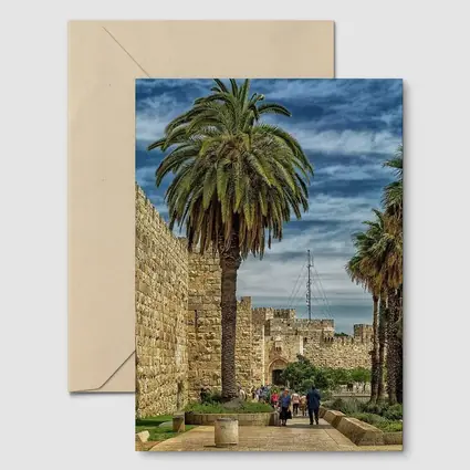 Jerusalem Old City Walls Palm Trees