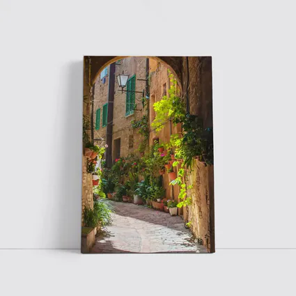 Sunlit Italian Alley With Potted Plants