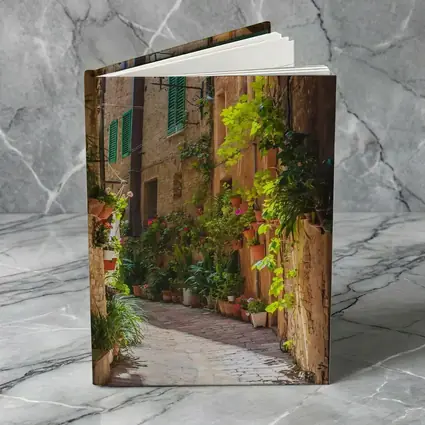 Sunlit Italian Alley With Potted Plants