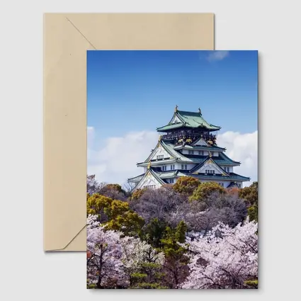 Osaka Castle Cherry Blossoms Blue Sky Japan