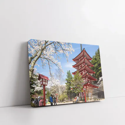 Red Japanese Pagoda Cherry Blossom Spring