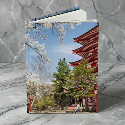 Red Japanese Pagoda Cherry Blossom Spring