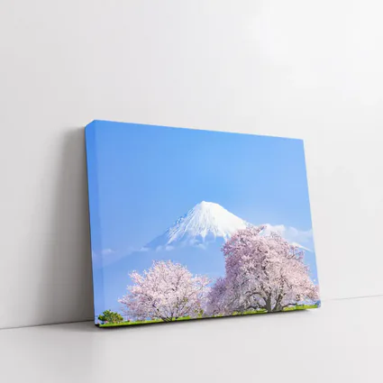 Mount Fuji Cherry Blossoms Blue Sky Japan