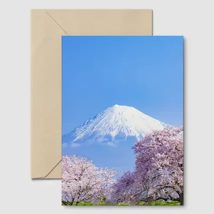 Mount Fuji Cherry Blossoms Blue Sky Japan