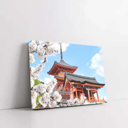 Kiyomizu Temple Cherry Blossoms Kyoto Japan