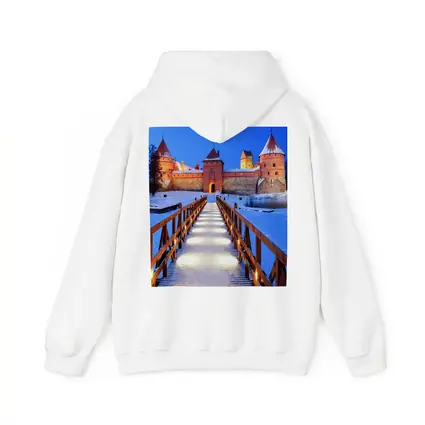Trakai Island Castle Snow Winter Night