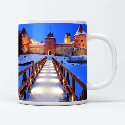 Trakai Island Castle Snow Winter Night