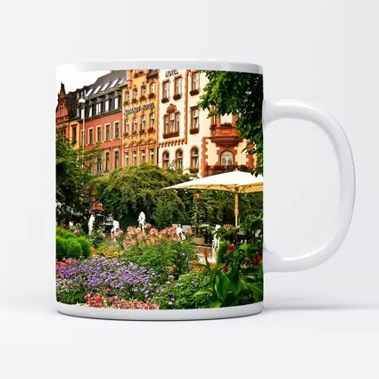 German Hotel Garden Colorful Flower Beds