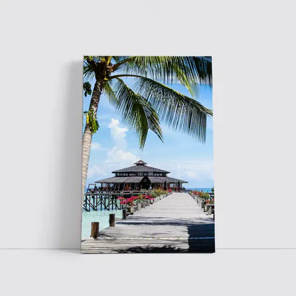 Tropical Pier Overwater Bungalow Palm Tree