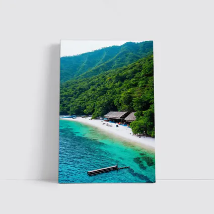 Tropical Beach Cove Green Mountain Aerial View