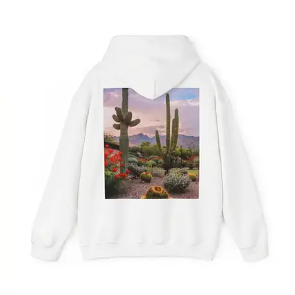 Saguaro Cactus Garden Sunset Mountain Desert